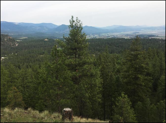 Chewelah Valley Land Trust moving forward Archives