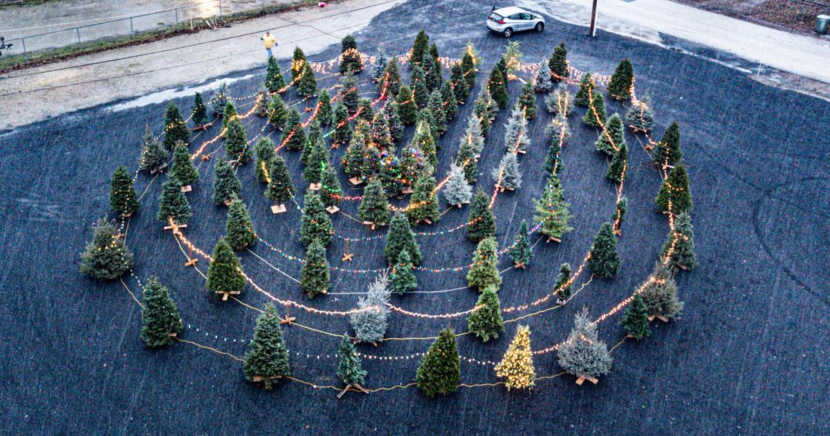 Chicago Labyrinth Christmas Tree Labyrinth open in Chewelah this week | Arts ...