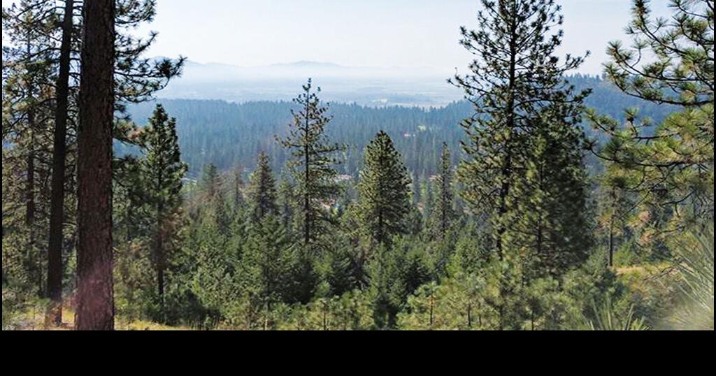 Chewelah Valley Land Trust gets 676K grant Archives