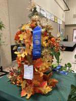 Grady County Fair releases still exhibit winners, placements