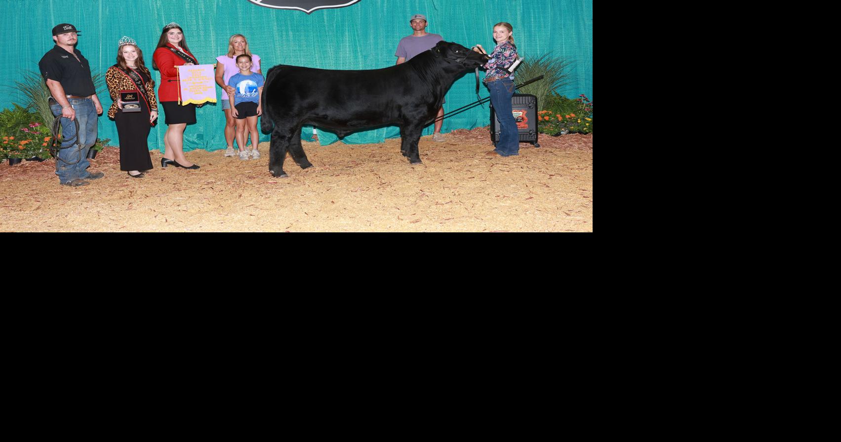 2025 National Junior Angus Show | News | chickashanews.com