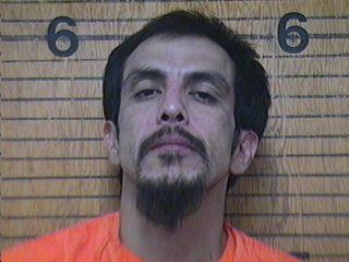 jail grady county chickashanews log