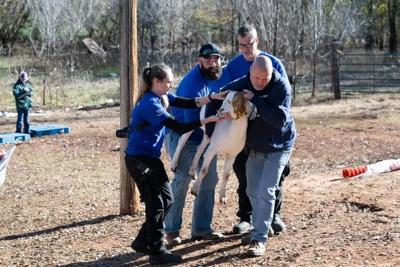 Couple arrested in animal cruelty case | News | chickashanews.com