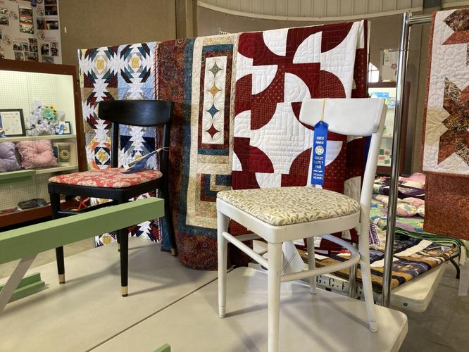 Grady County Fair releases still exhibit winners, placements News