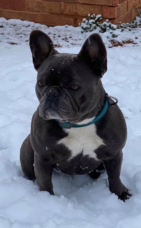 Zoe