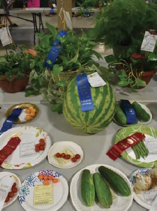 Grady County Fair