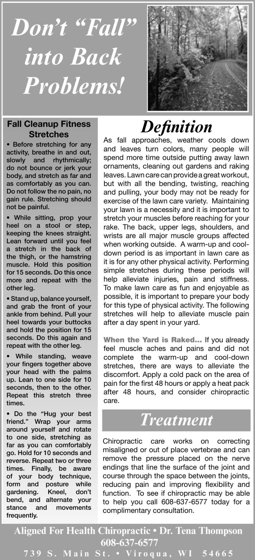 Falling Into Place Pdf