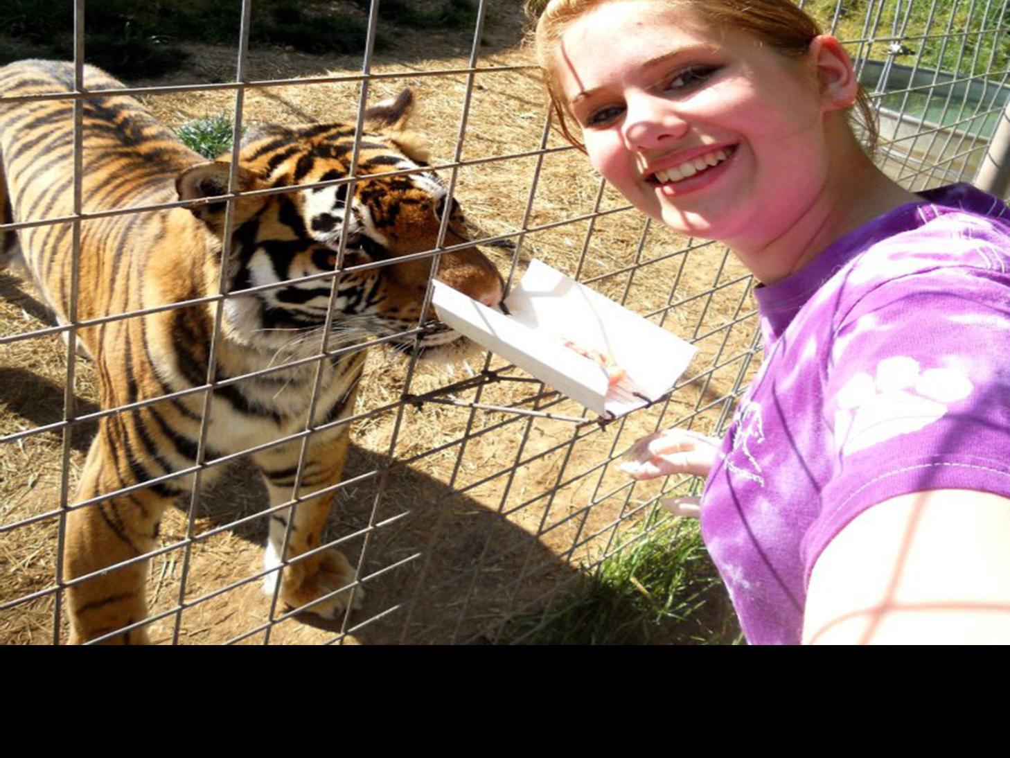 Chuffing Tigers Roaring Lions Education Chippewa Com Contact national tiger sanctuary on messenger. chuffing tigers roaring lions