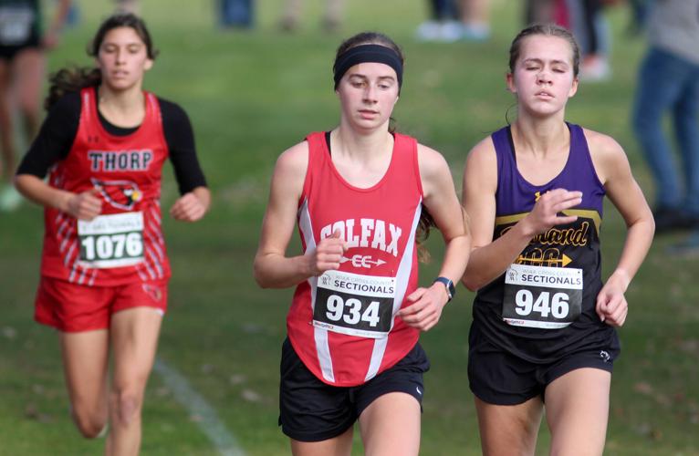 Division 3 cross country sectionals at Cadott 10-22-22