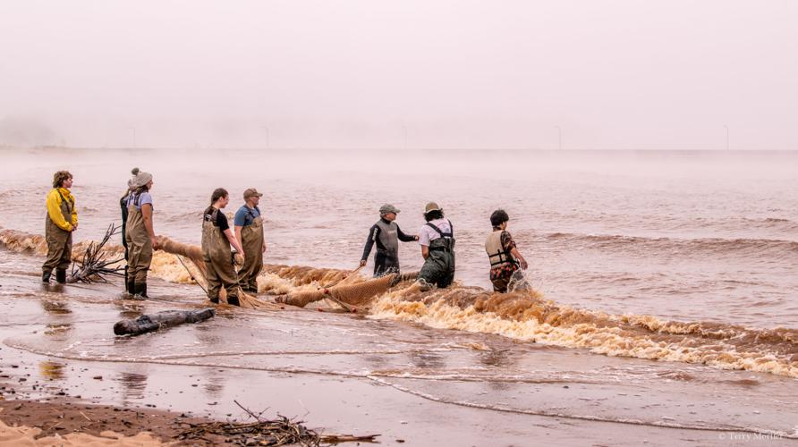 Summer Ichthyology class