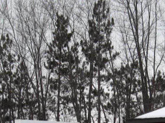 Planned Parenthood Blames Funding Loss For Closure Of Chippewa Falls Office Local News Chippewa Com