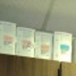 Local Experts Give Advice On Pet Ownership Pets Chippewa Com