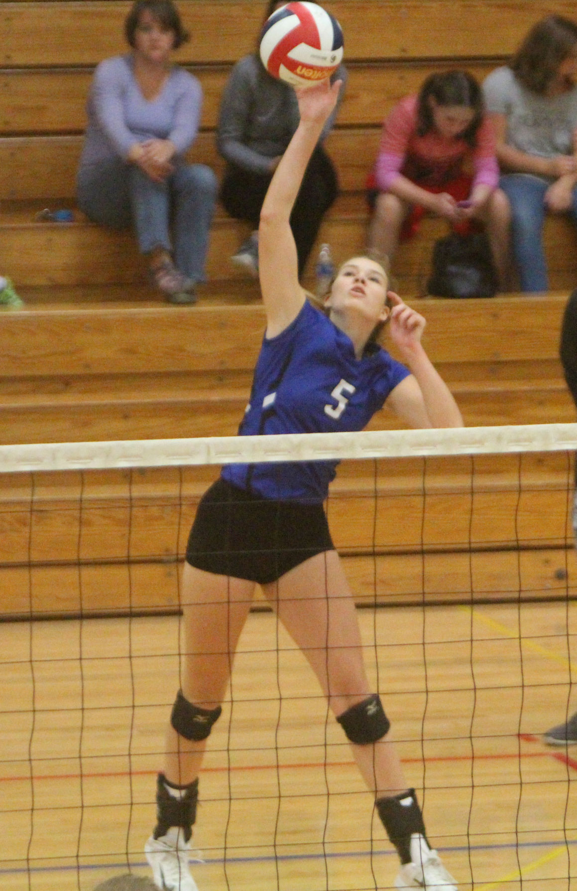 Debbie Roesler Memorial Invitational volleyball at McDonell 9-9-17