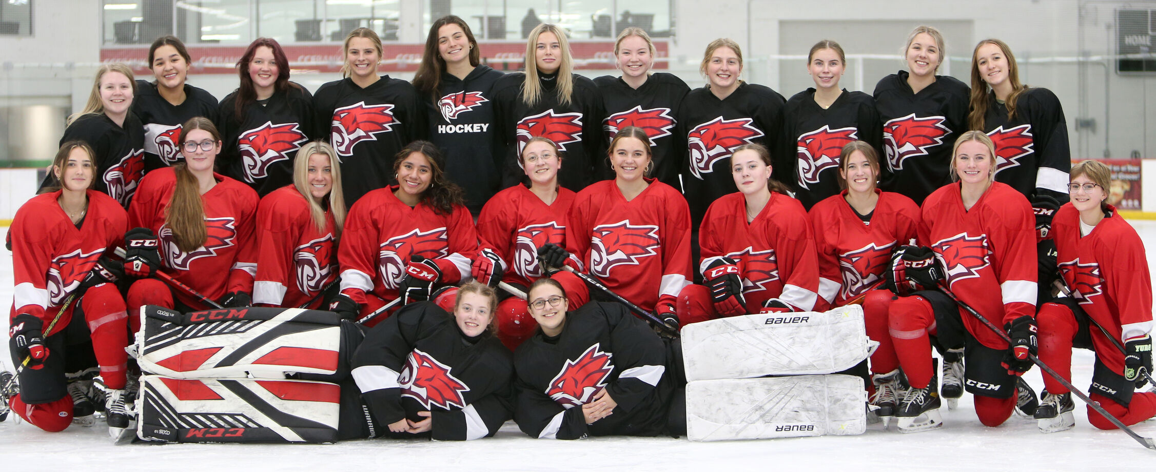 High School Girls Hockey Preview New CFM coach learns fast