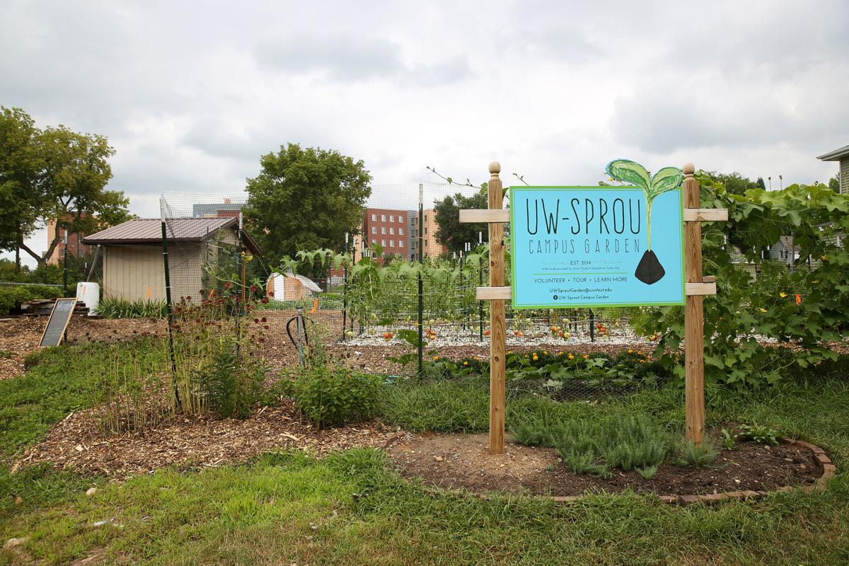 20160810_Campus_Garden