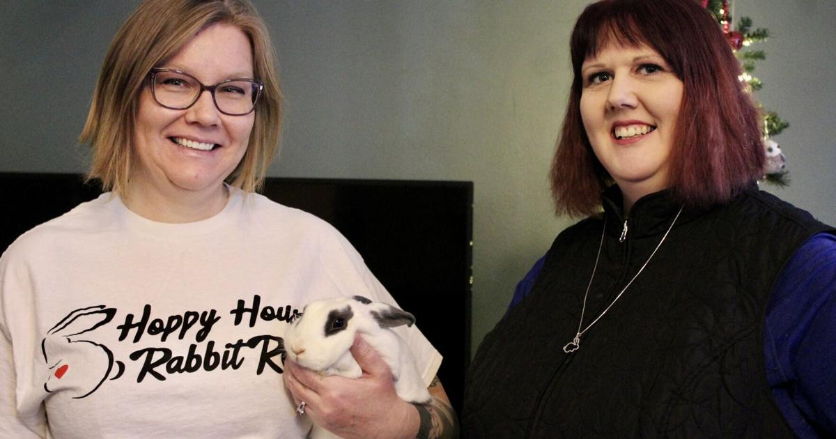 Hoppy House Rabbit Rescue saves rabbits from abuse and neglect situations