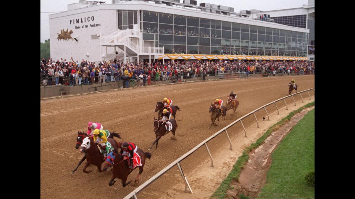 Jacksons start first Preakness Stakes runner, Divining Rod, since