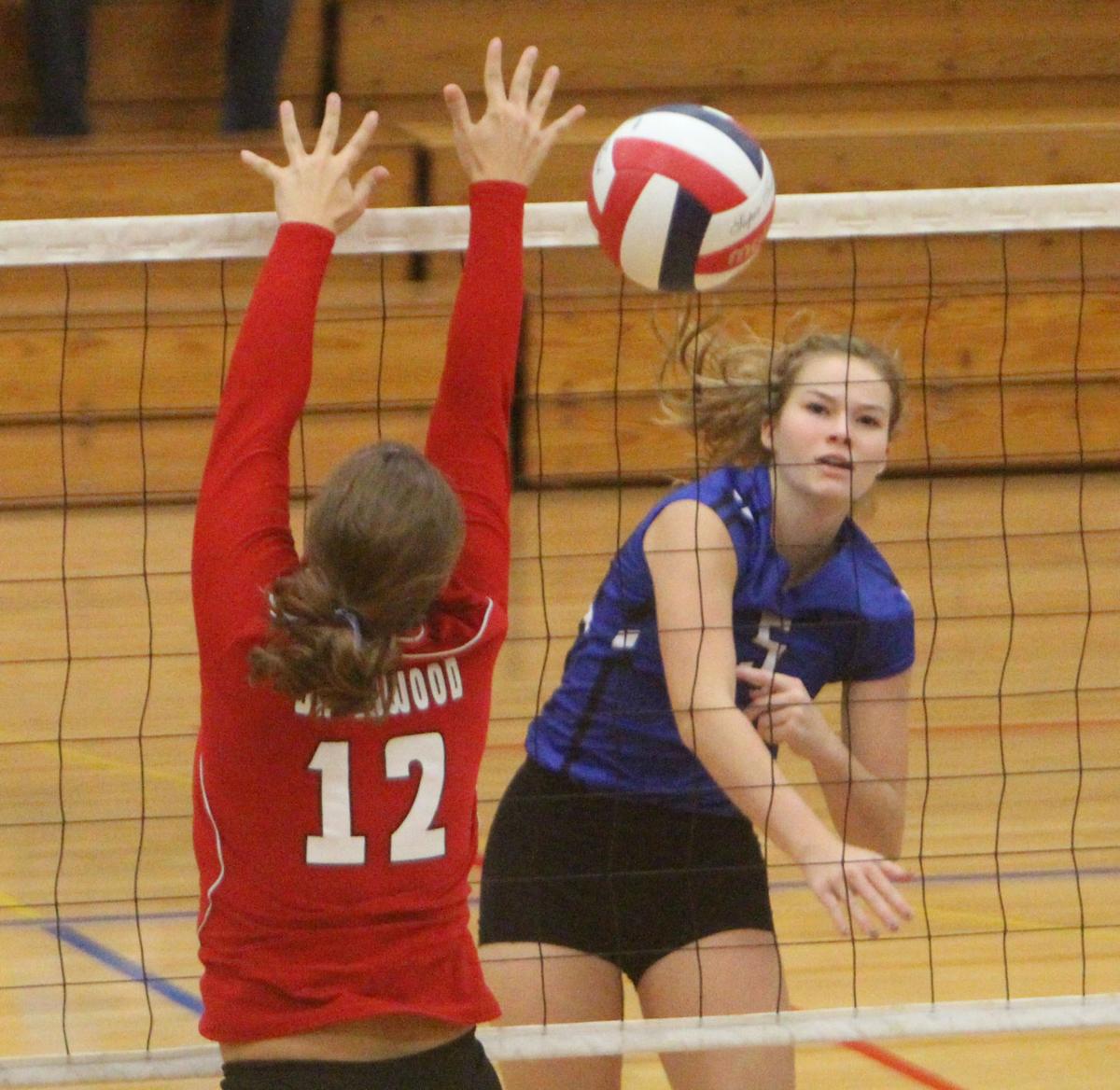 Debbie Roesler Memorial Invitational volleyball at McDonell 9-9-17