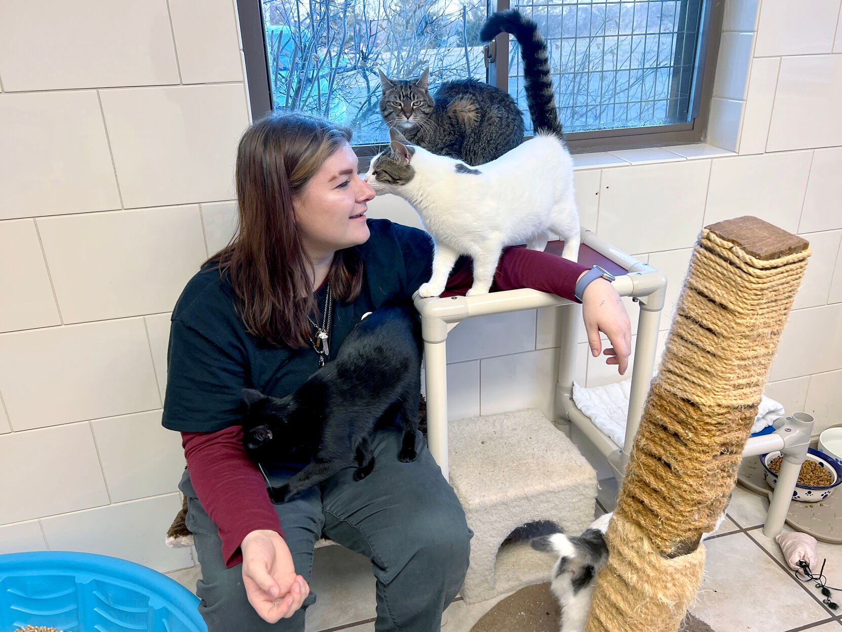 Chippewa Humane Association rescues animals to help them find