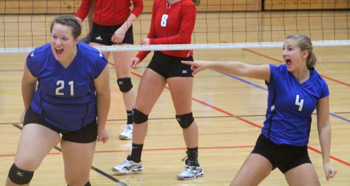 Debbie Roesler Memorial Invitational volleyball at McDonell 9-9-17