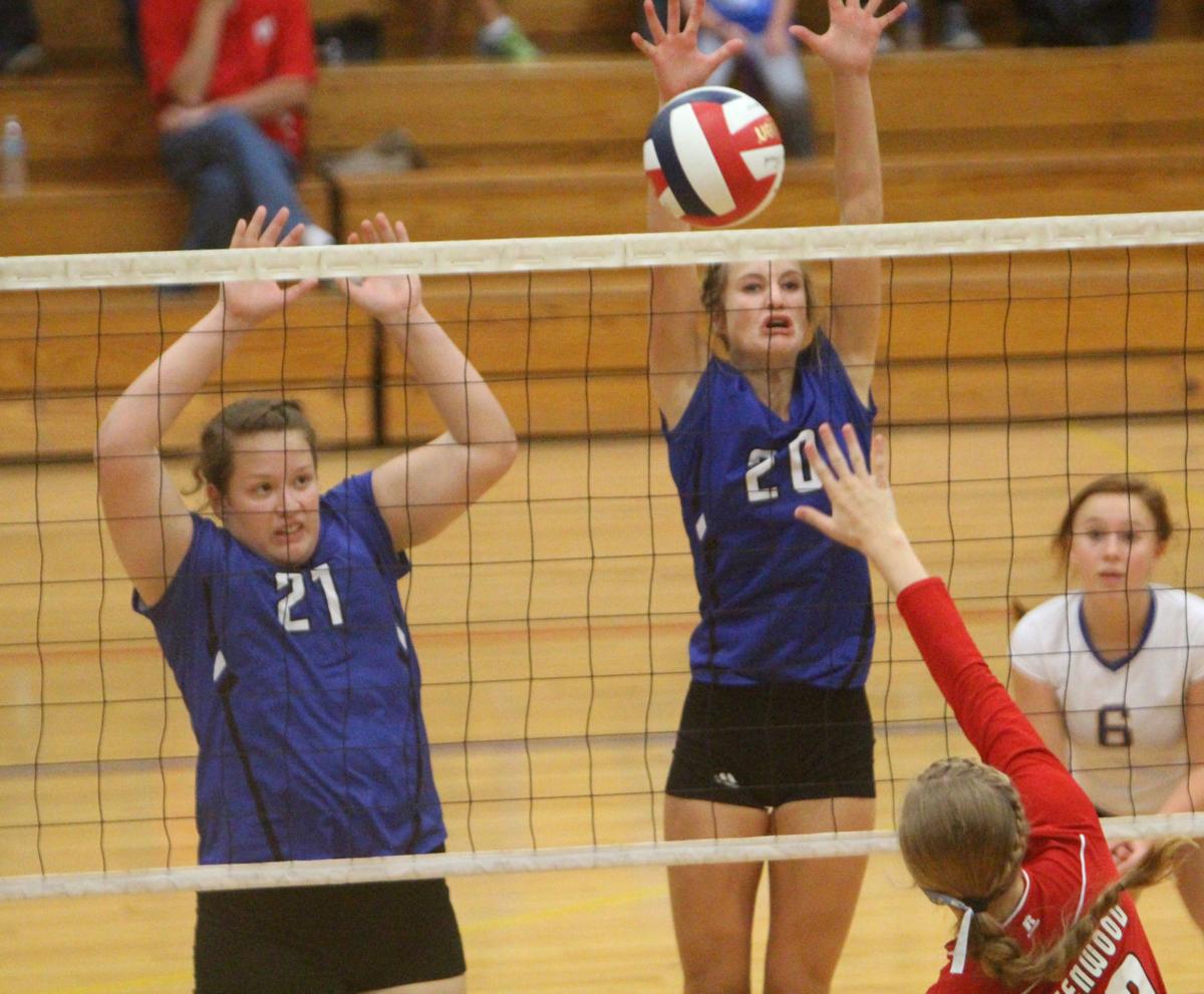 Debbie Roesler Memorial Invitational volleyball at McDonell 9-9-17