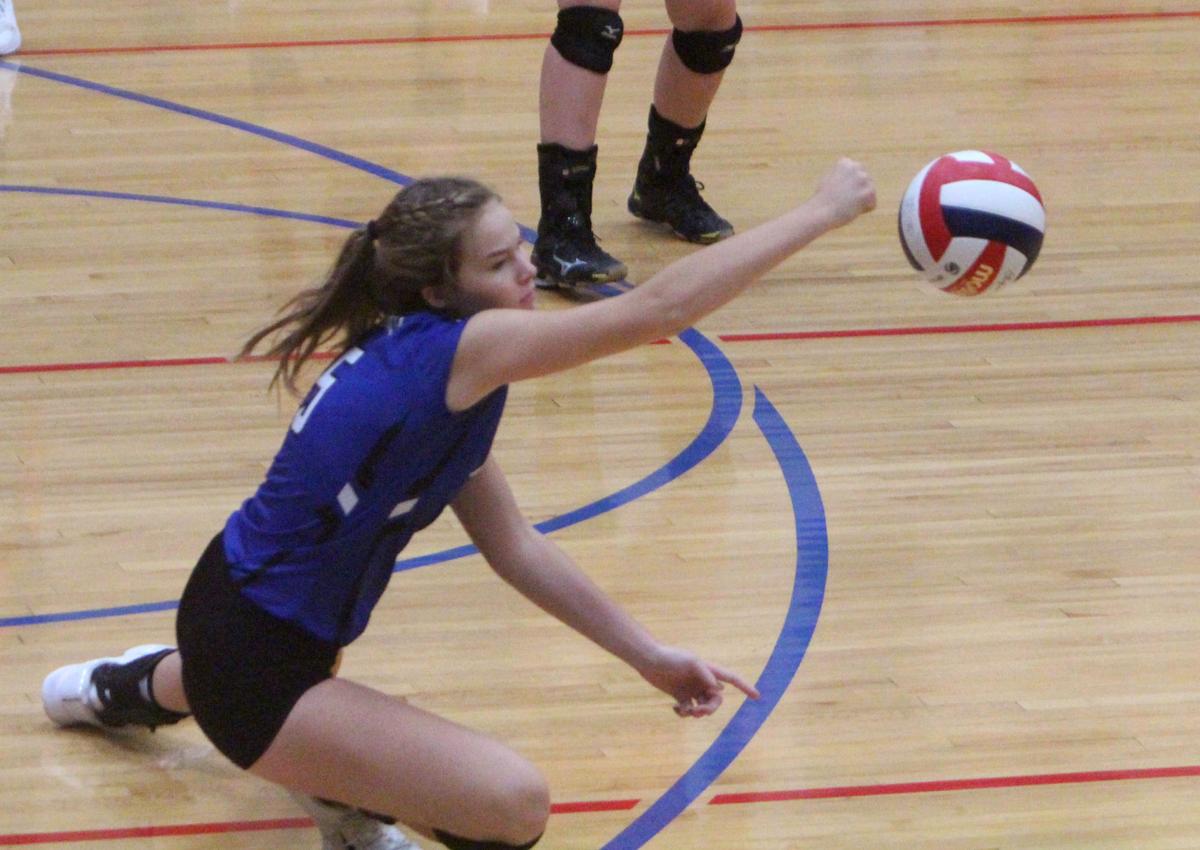 Debbie Roesler Memorial Invitational volleyball at McDonell 9-9-17