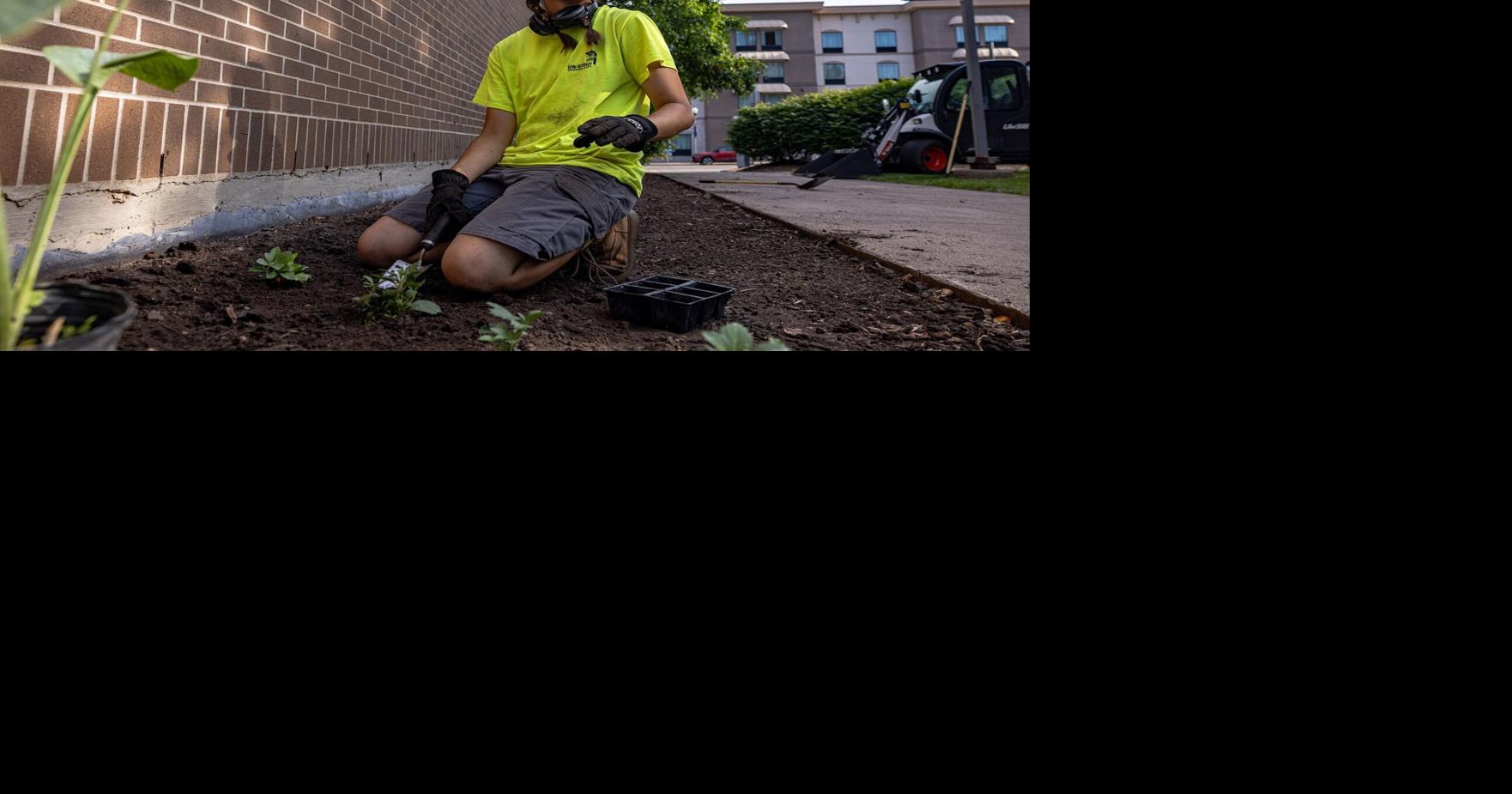 Student’s sustainable ideas take root through plantings on campus