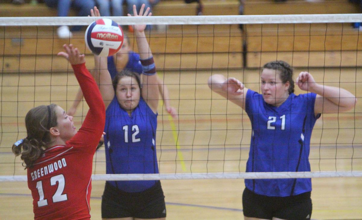Debbie Roesler Memorial Invitational volleyball at McDonell 9-9-17