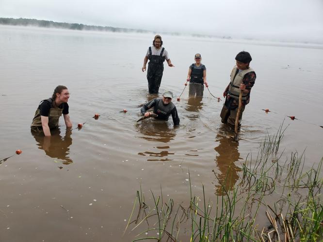 Summer Ichthyology