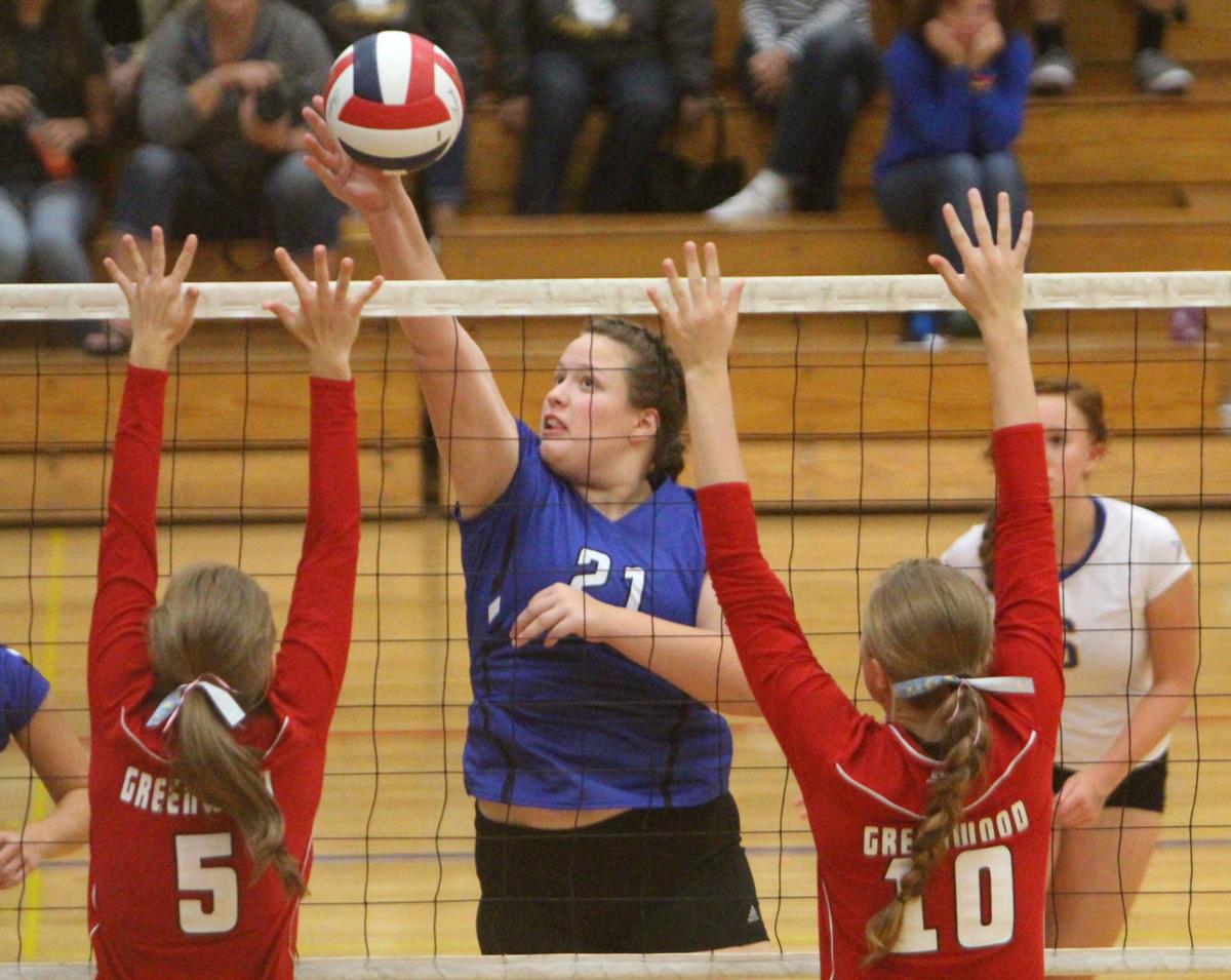 Debbie Roesler Memorial Invitational volleyball at McDonell 9-9-17