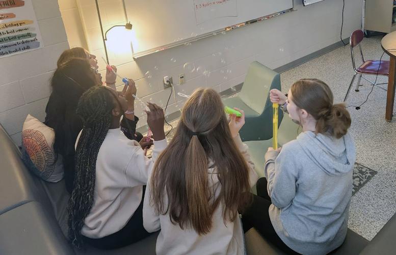 Elk Mound school counselor garners statewide, national acclaim for her