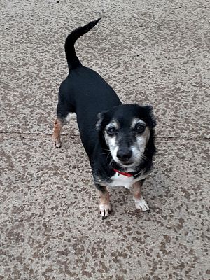 Max