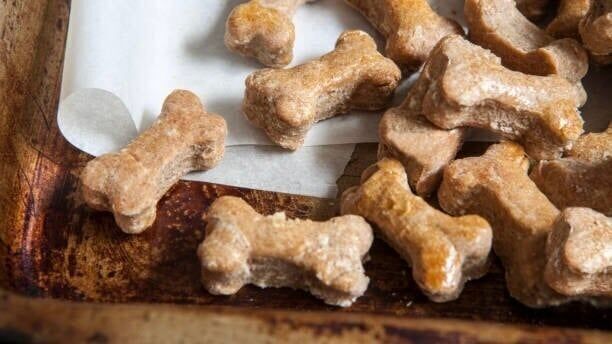 Homemade dog treat recipes for your canine companion