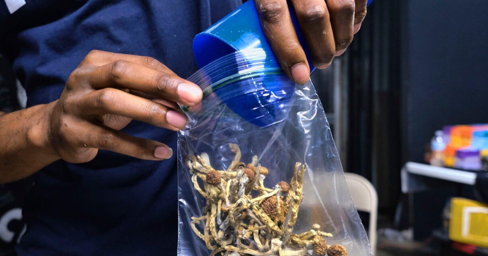 Bill would allow mushrooms for Wisconsin veterans with PTSD - Vimarsana News
