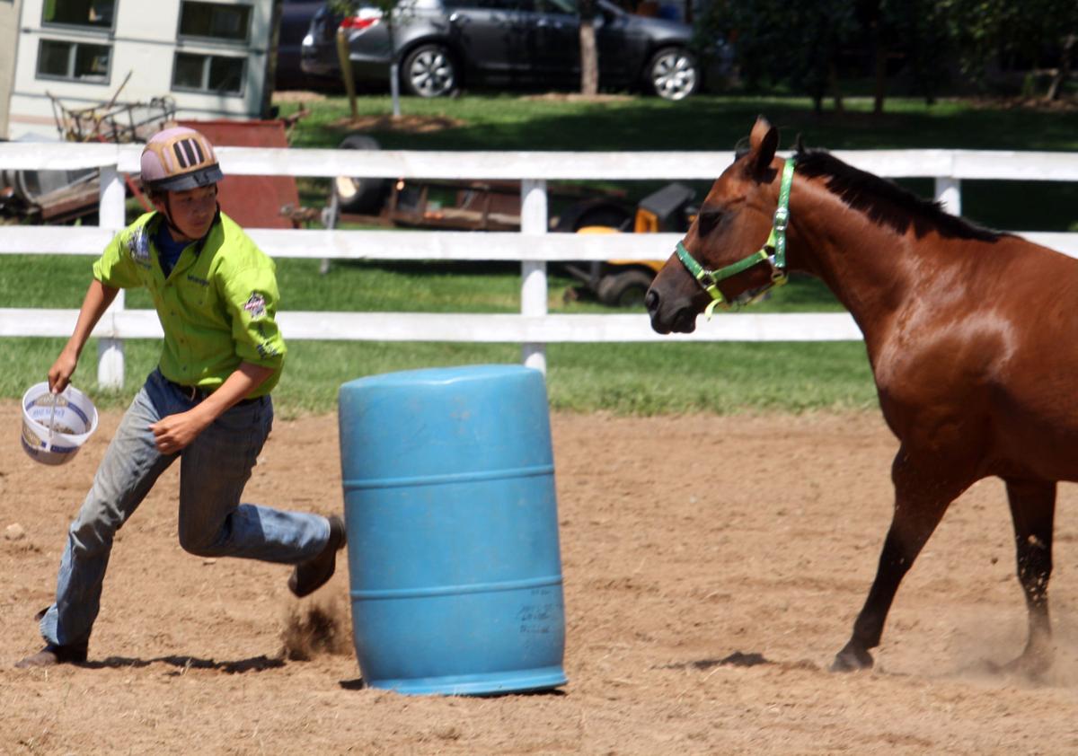 Bloomer Community Fair features comical horse competitions Local News