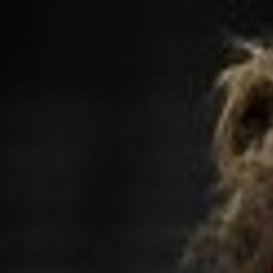 Uw Women S Basketball List Of Possible Replacements For Stone Is