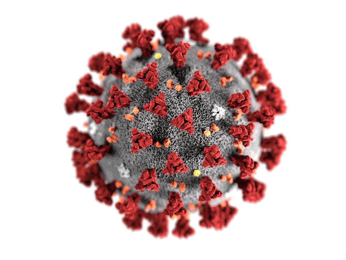 Coronavirus