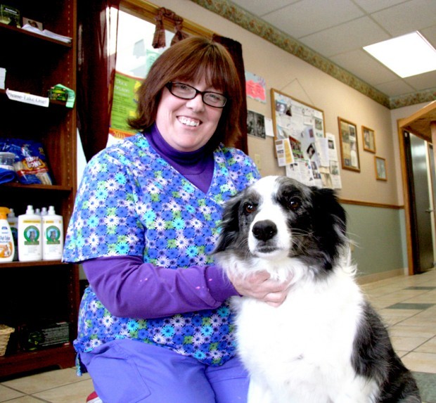 Funding gap leads to shelter not taking strays | Local News | chippewa.com