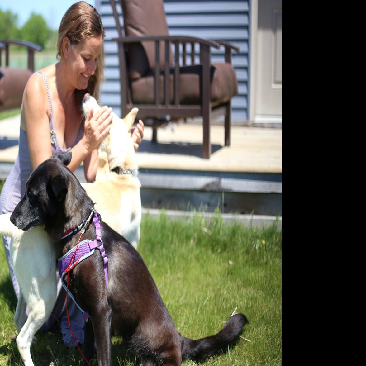 Helping Animals Heal Mother Daughter Run Animal Sanctuary In