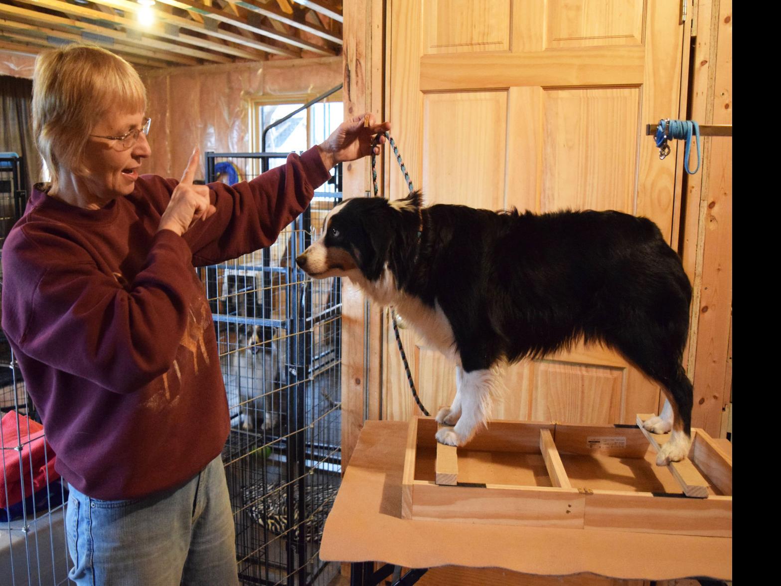 Local Tradition Holcombe Women Breed Train Show Dogs Local News Chippewa Com
