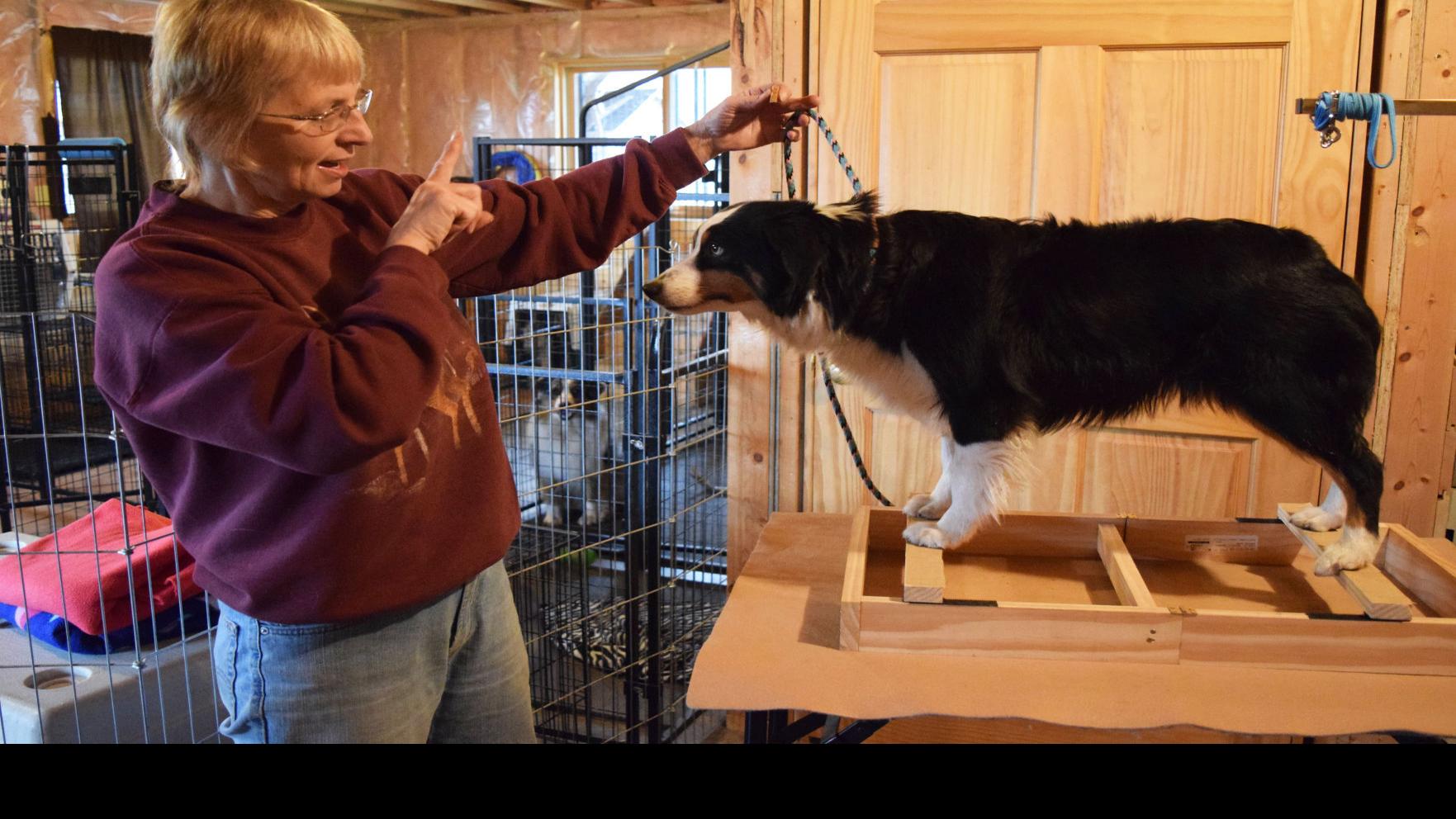 Local Tradition Holcombe Women Breed Train Show Dogs Local News Chippewa Com