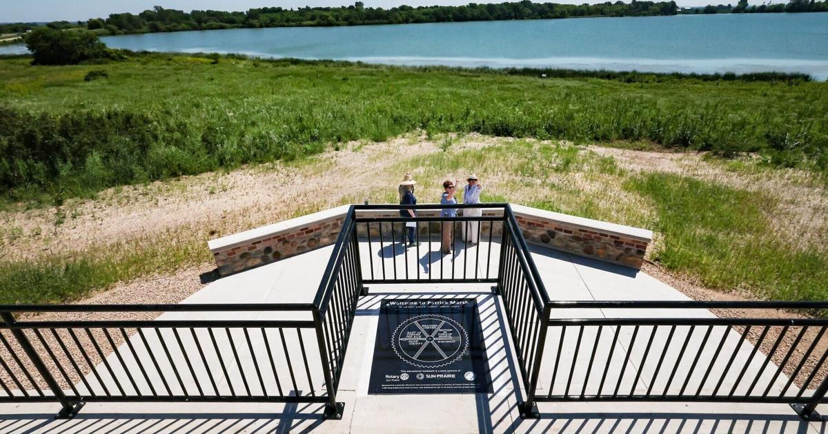 Restored Sun Prairie marsh shows power of letting ‘nature do its thing'