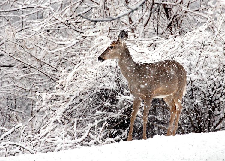 How much snow fell? Totals put La Crosse back on track for this time of