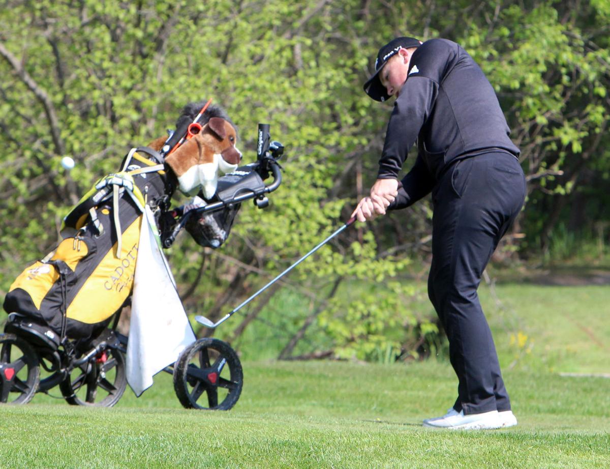 tuesday prep roundup mcdonell eau claire regis boys golf takes second at division 2 regionals high school chippewa com