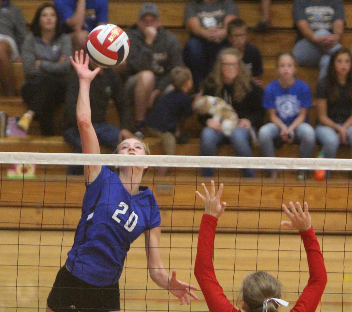 Debbie Roesler Memorial Invitational volleyball at McDonell 9-9-17