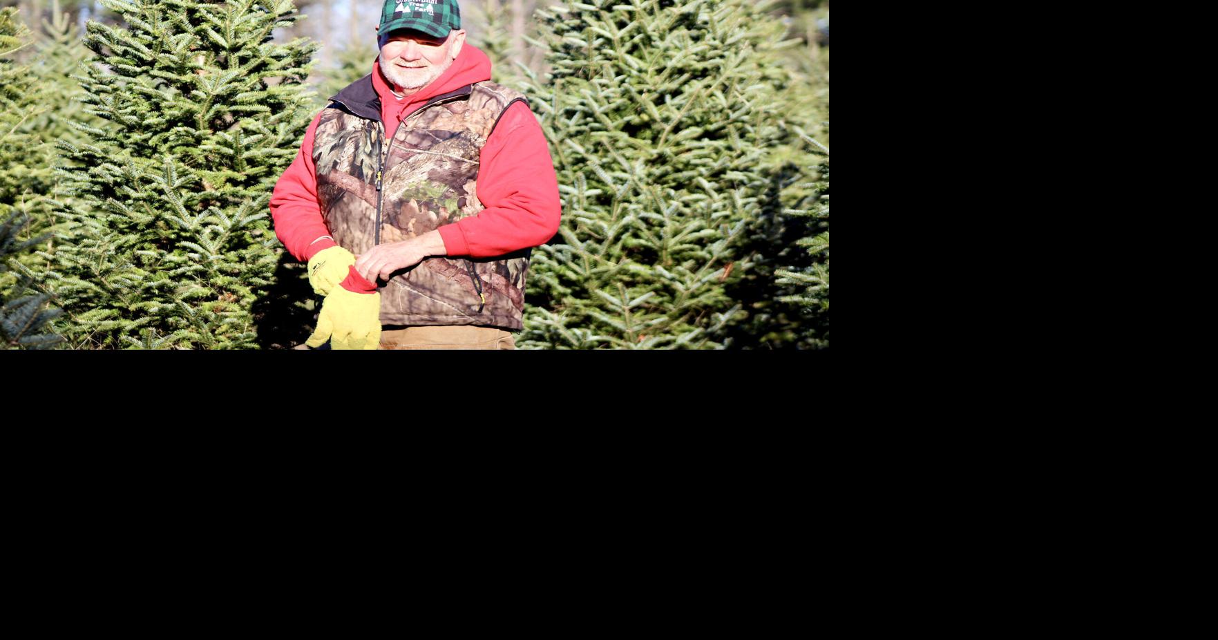 Local Christmas tree farms see surge in sales this season