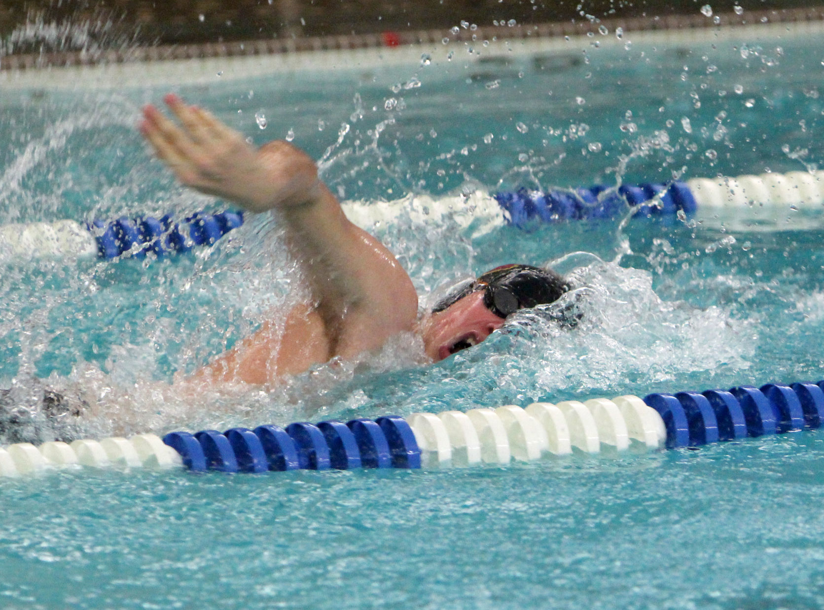 Husky clearance boys swim