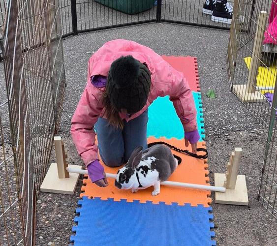 Rabbit Hopping
