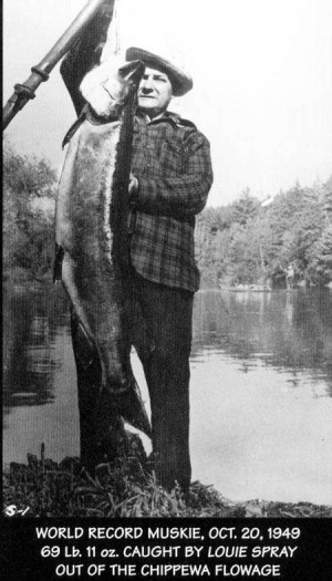 Three record muskies in his day The life and times of Louie Spray