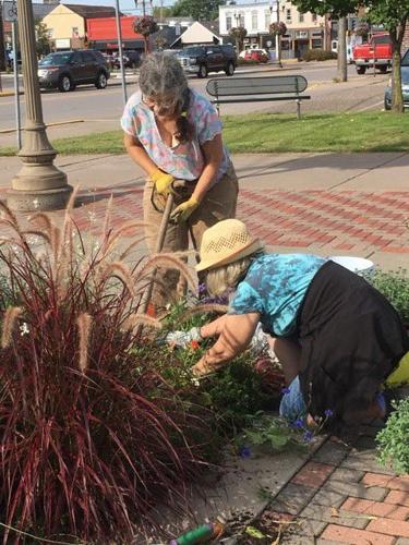 Dunn County Master Gardeners